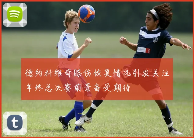 德约科维奇膝伤恢复情况引发关注年终总决赛前景备受期待